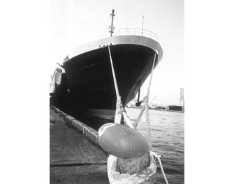 IMPA手冊 編號211565陸海兩用8股纜繩(圖1) IMPA手冊 編號211565陸海兩用8股纜繩(圖1)